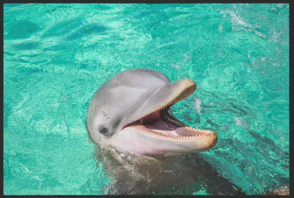 Fussmatte Delfin 6297-Matten-Welt