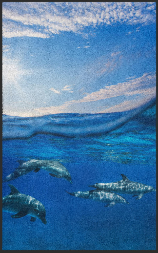 Fussmatte Delfin 7683-Matten-Welt