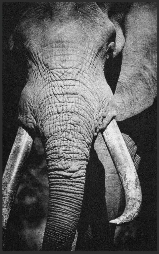 Fussmatte Elefant 7786-Matten-Welt