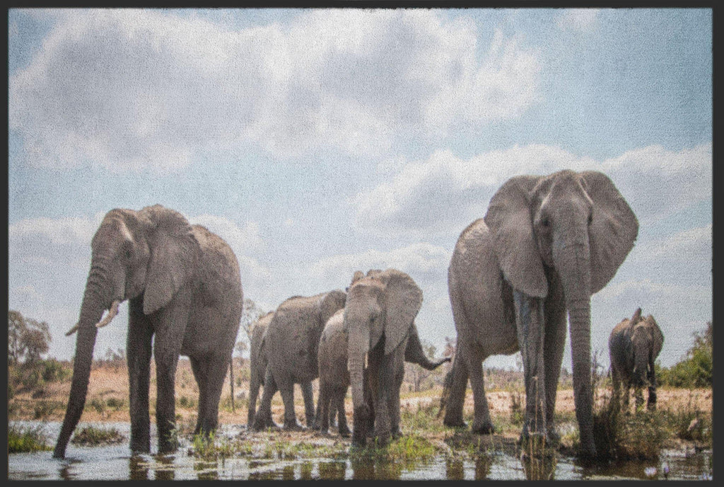 Fussmatte Elefanten 4518-Matten-Welt