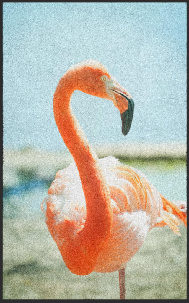 Fussmatte Flamingo 7780-Matten-Welt