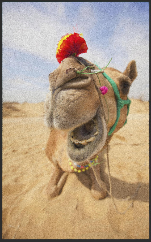 Fussmatte Kamel 7126-Matten-Welt