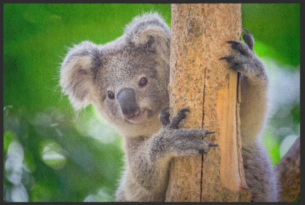 Fussmatte Koala 4516-Matten-Welt
