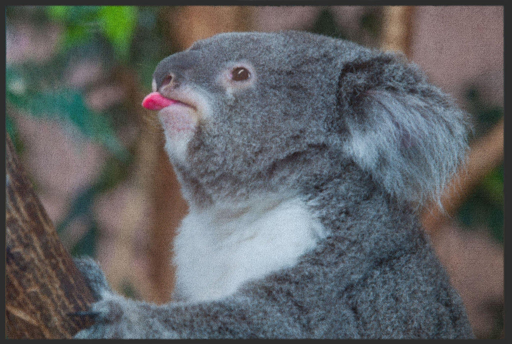 Fussmatte Koala 4813-Matten-Welt