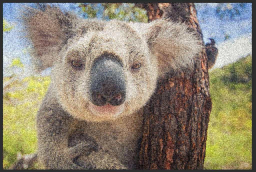 Fussmatte Koala 5085-Matten-Welt
