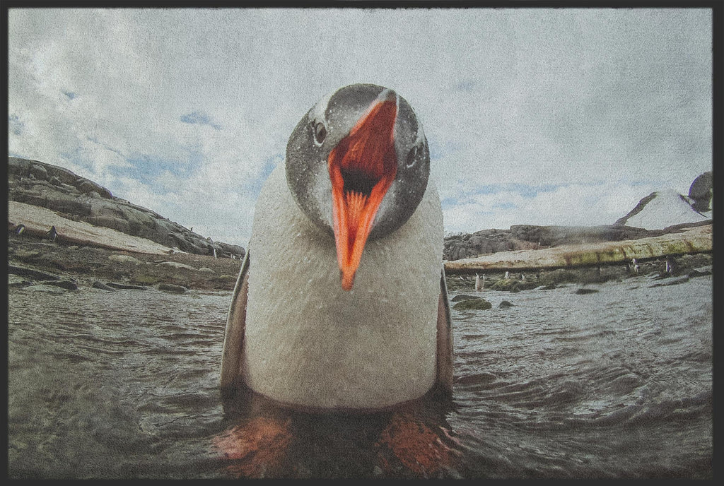 Fussmatte Pinguin 10169-Matten-Welt