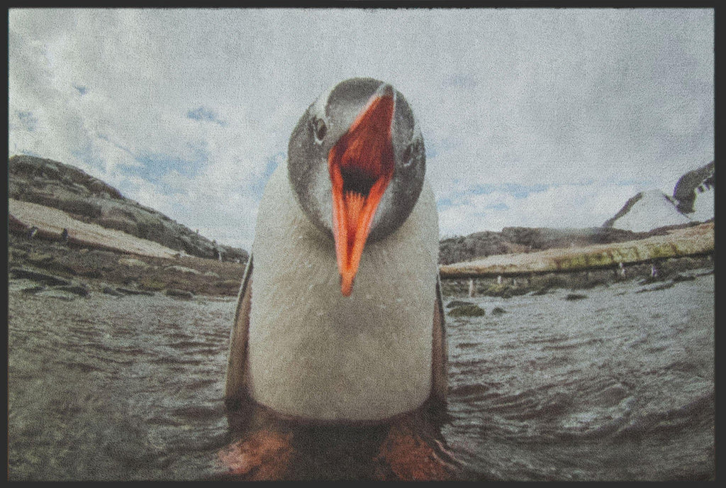 Fussmatte Pinguin 4810-Matten-Welt