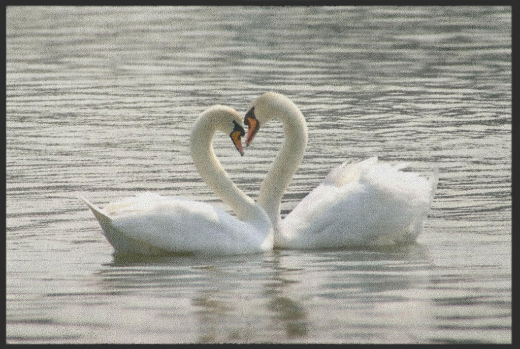 Fussmatte Schwan 4193-Matten-Welt