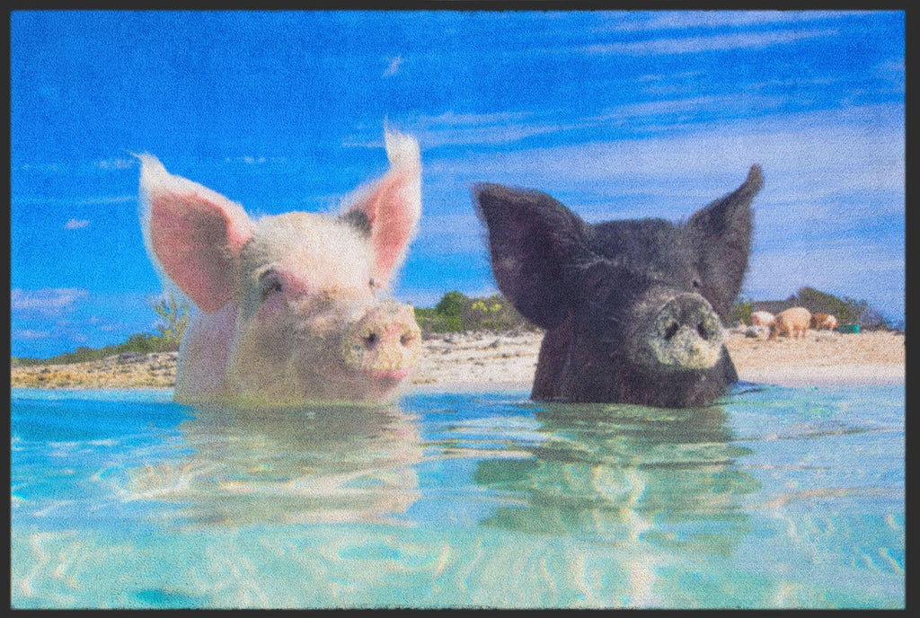 Fussmatte Schweine Bahamas 4530-Matten-Welt