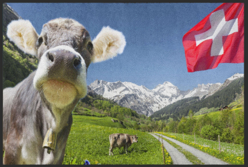 Fussmatte Schweiz 4506-Matten-Welt